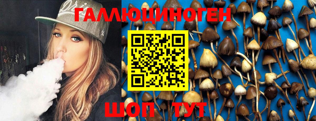 даркнет сайт  Псилоцибиновые грибы Psilocybe  Вход с VPN  Елабуга 